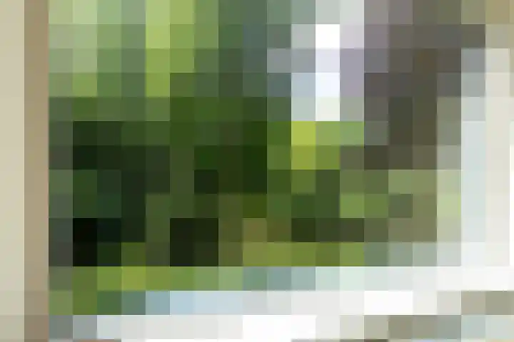 Lage Weide 22 Limmen thumbnail 15
