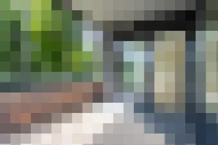 Lage Weide 22 Limmen thumbnail 17