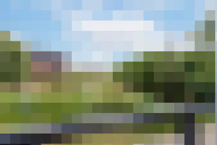 Lage Weide 22 Limmen thumbnail 18