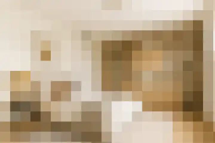 Lage Weide 22 Limmen thumbnail 20