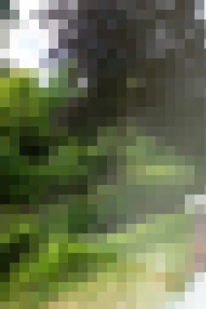 Lage Weide 22 Limmen thumbnail 23