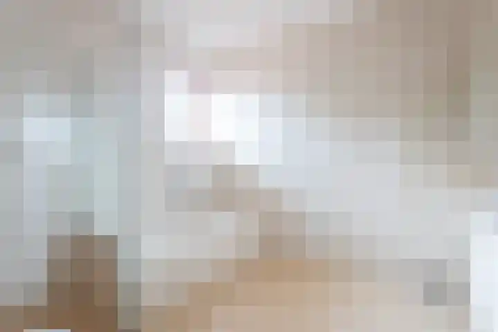 Lage Weide 22 Limmen thumbnail 33