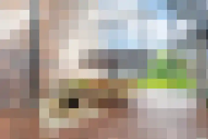 Lage Weide 22 Limmen thumbnail 37