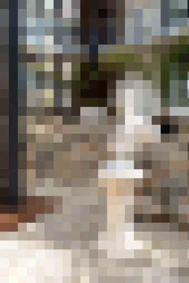 Lage Weide 22 Limmen thumbnail 38