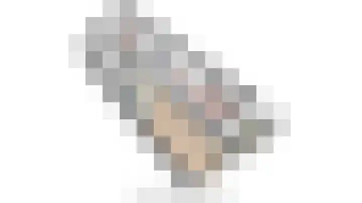Lage Weide 22 Limmen thumbnail 48