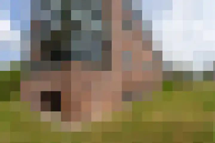 Lage Weide 22 Limmen thumbnail 5