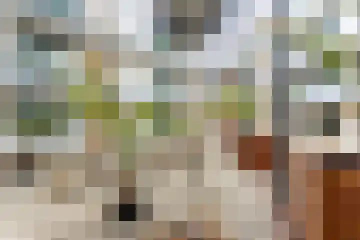 Lage Weide 22 Limmen thumbnail 7