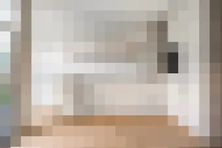 Lage weide 3 Dalfsen thumbnail 10