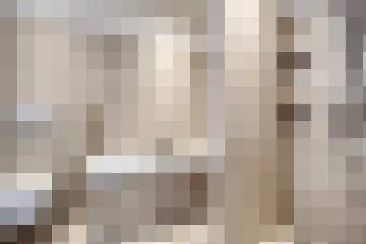 Lage weide 3 Dalfsen thumbnail 17