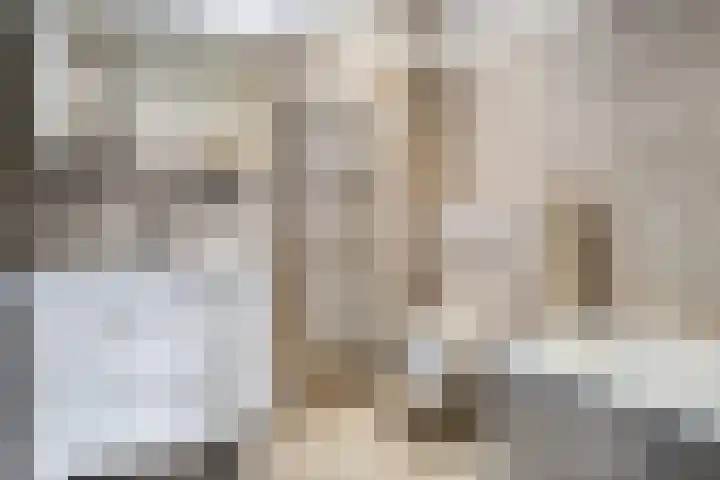 Lage weide 3 Dalfsen thumbnail 18