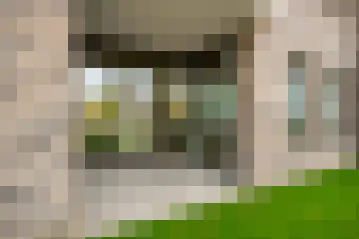 Lage weide 3 Dalfsen foto 2