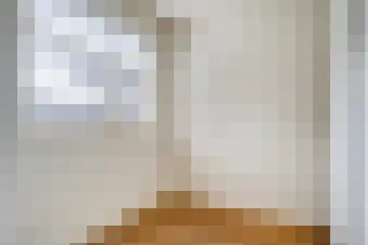 Lage weide 3 Dalfsen thumbnail 20