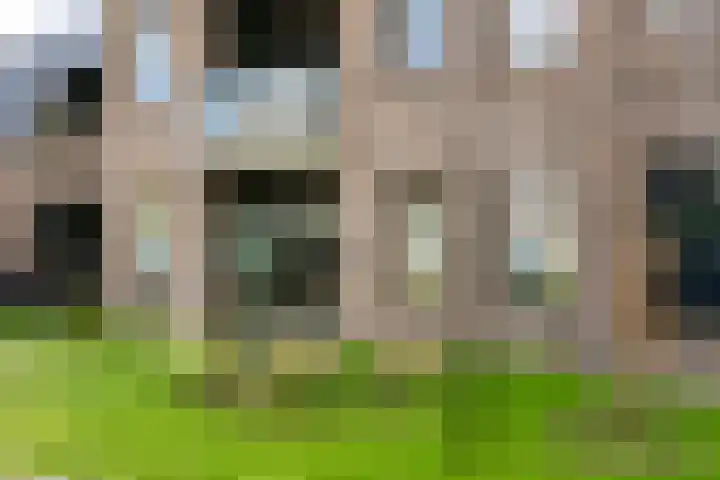 Lage weide 3 Dalfsen thumbnail 23