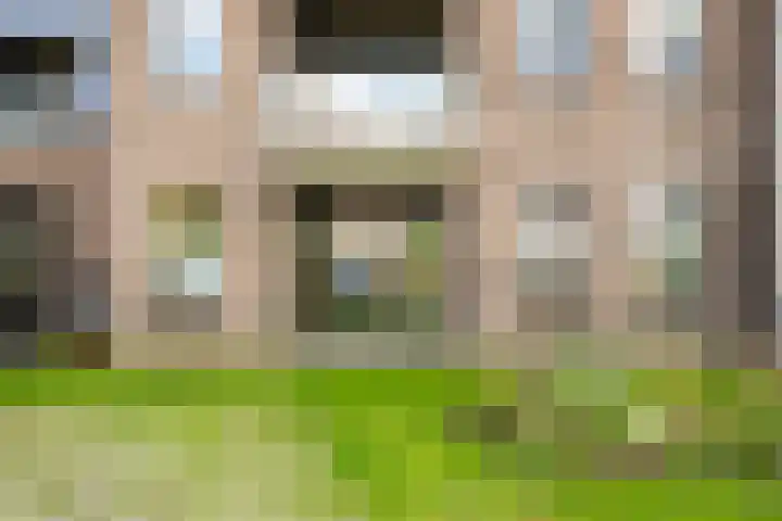 Lage weide 3 Dalfsen thumbnail 24