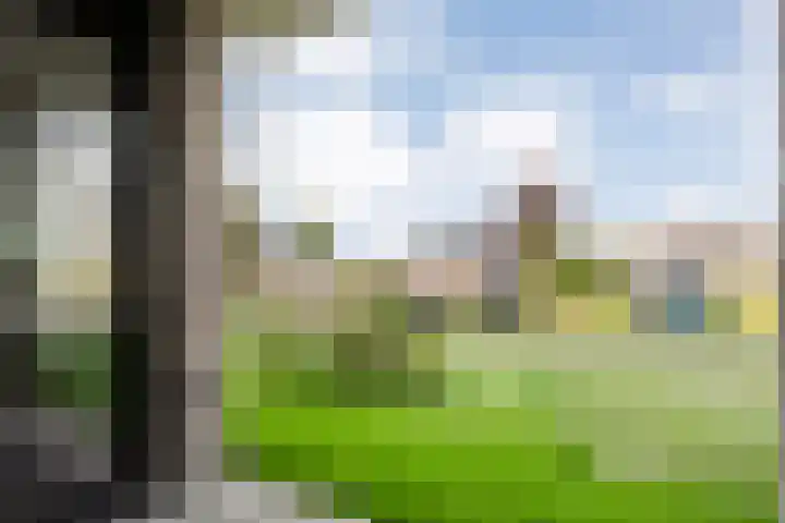 Lage weide 3 Dalfsen thumbnail 25