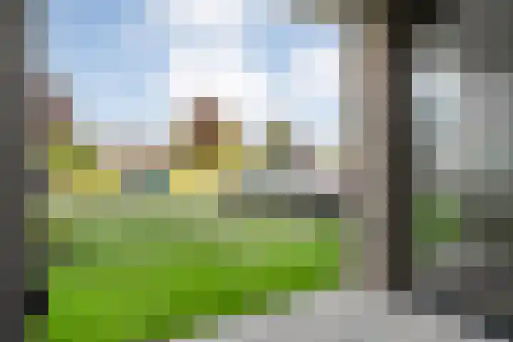 Lage weide 3 Dalfsen thumbnail 26