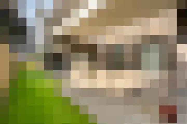 Lage weide 3 Dalfsen thumbnail 27