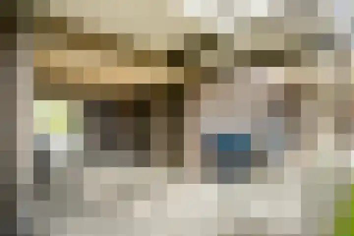 Lage weide 3 Dalfsen thumbnail 29