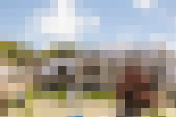 Lage weide 3 Dalfsen thumbnail 30
