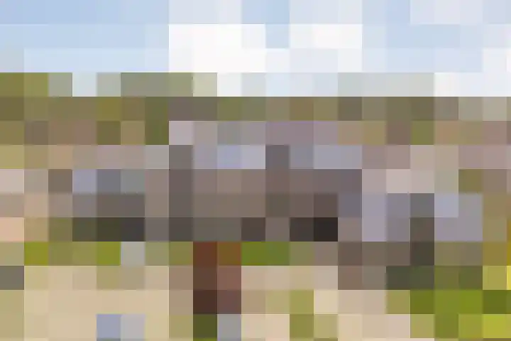 Lage weide 3 Dalfsen thumbnail 32