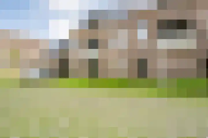 Lage weide 3 Dalfsen thumbnail 33