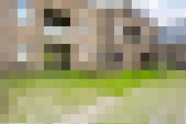 Lage weide 3 Dalfsen thumbnail 34