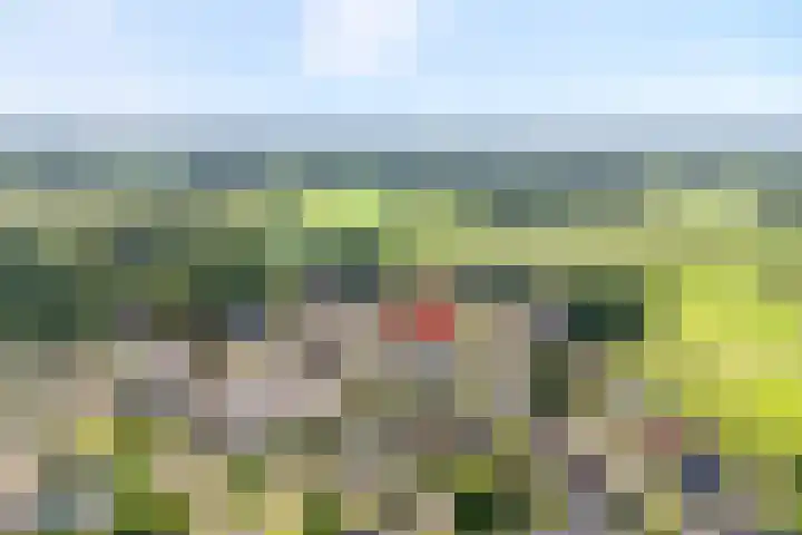 Lage weide 3 Dalfsen thumbnail 35
