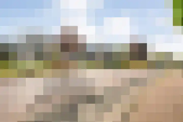 Lage weide 3 Dalfsen thumbnail 38