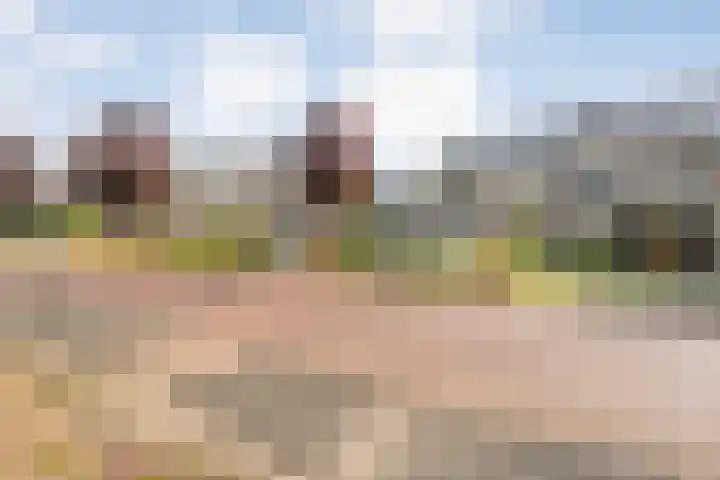 Lage weide 3 Dalfsen thumbnail 39