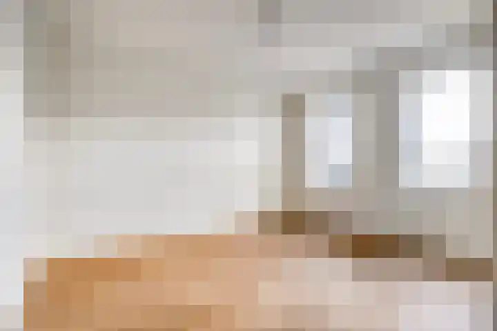 Lage weide 3 Dalfsen thumbnail 4