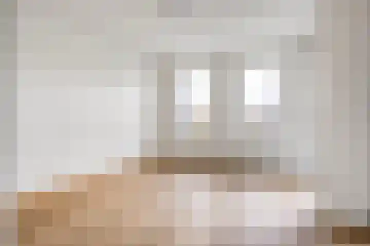 Lage weide 3 Dalfsen thumbnail 5