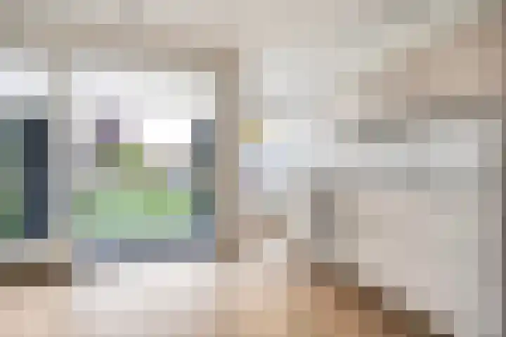 Lage weide 3 Dalfsen thumbnail 9