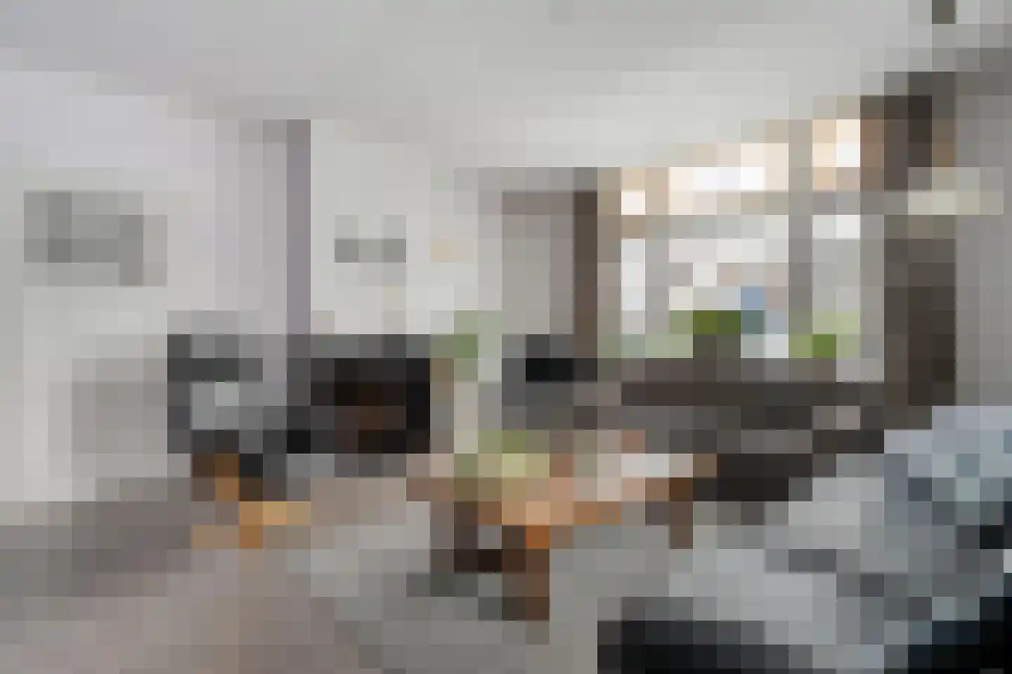 Lage weide 4 Dalfsen thumbnail 10