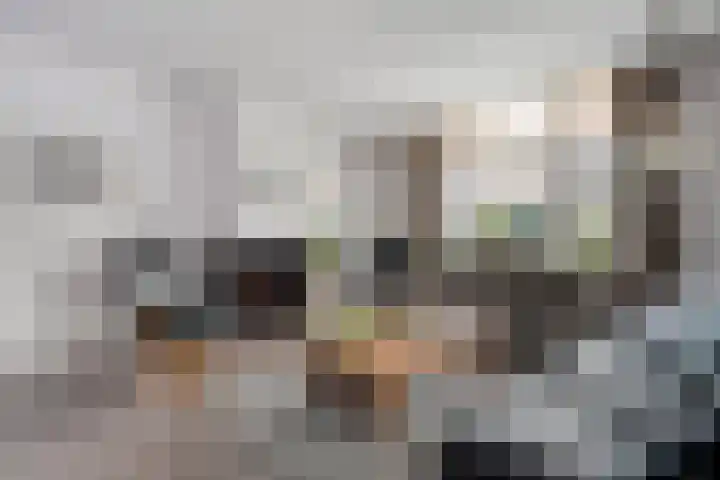 Lage weide 4 Dalfsen thumbnail 10