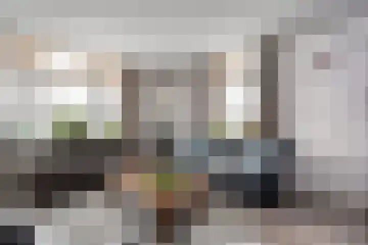 Lage weide 4 Dalfsen thumbnail 11