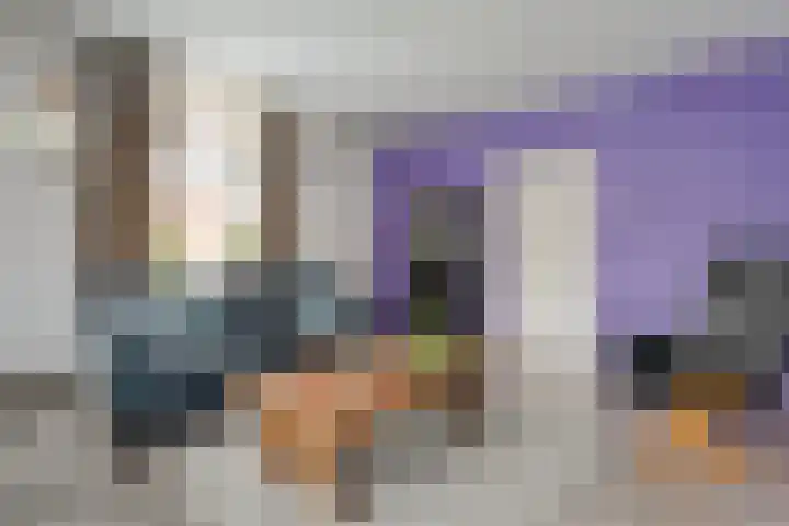 Lage weide 4 Dalfsen thumbnail 12