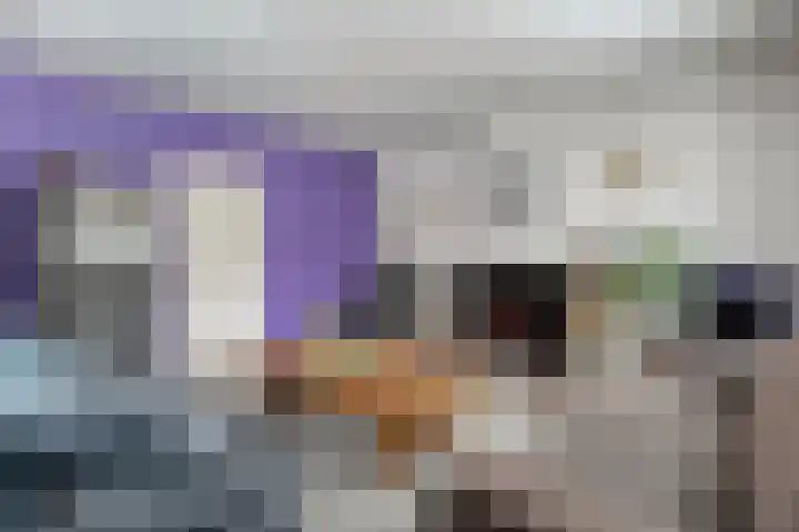 Lage weide 4 Dalfsen thumbnail 13