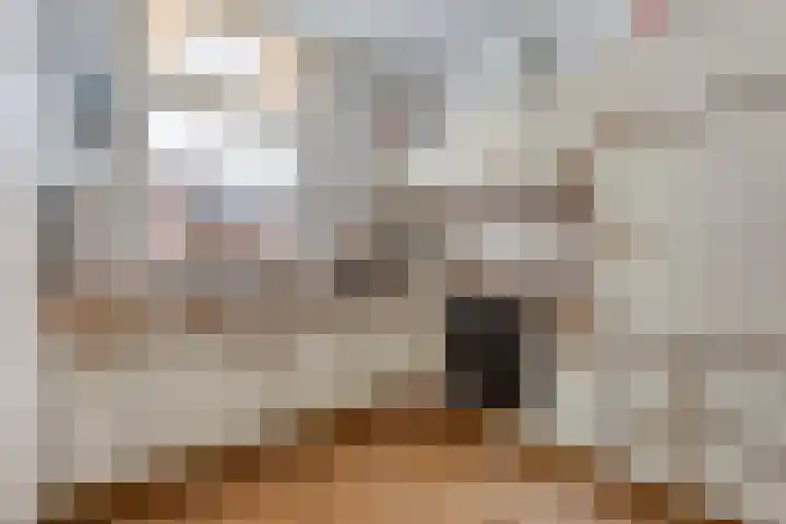 Lage weide 4 Dalfsen thumbnail 15