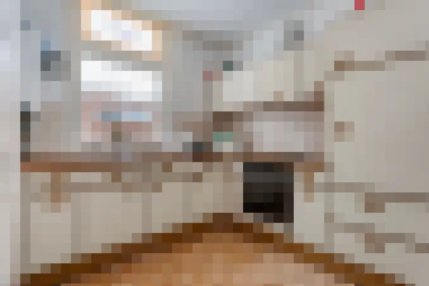 Lage weide 4 Dalfsen thumbnail 15