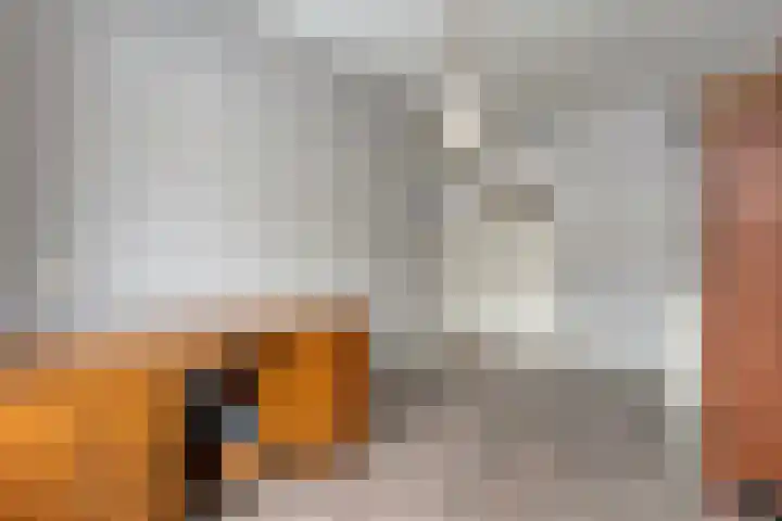 Lage weide 4 Dalfsen thumbnail 19