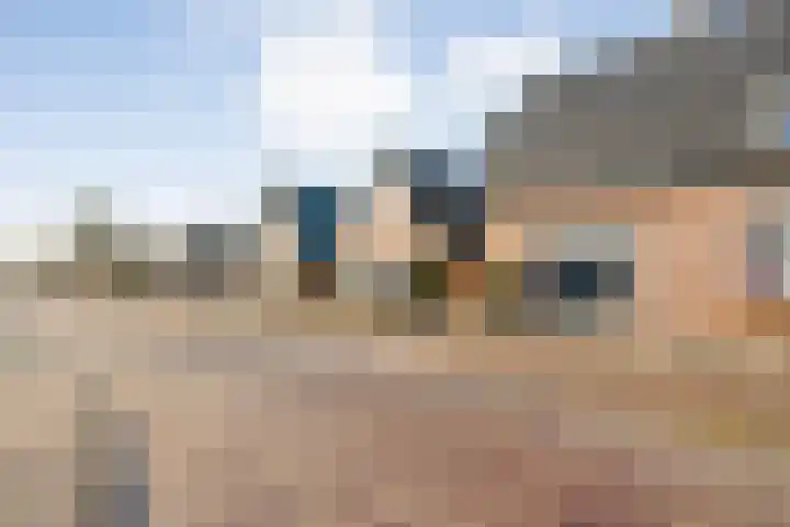 Lage weide 4 Dalfsen foto 2