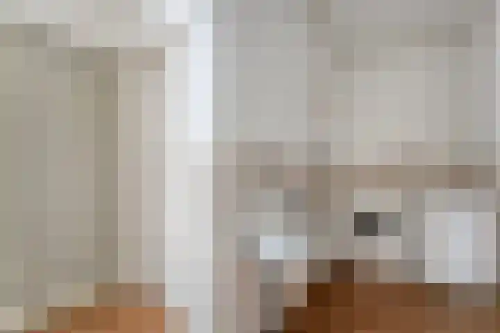 Lage weide 4 Dalfsen thumbnail 20