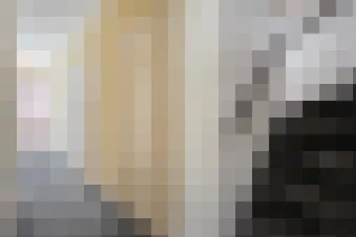 Lage weide 4 Dalfsen thumbnail 21