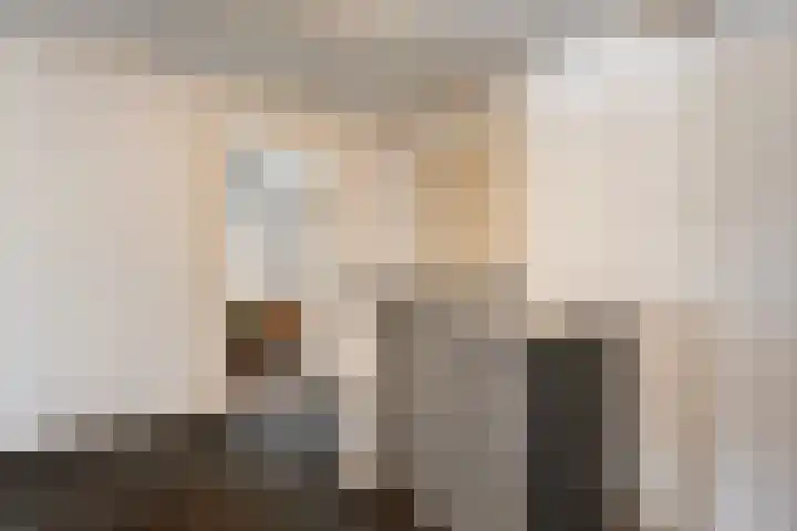 Lage weide 4 Dalfsen thumbnail 22