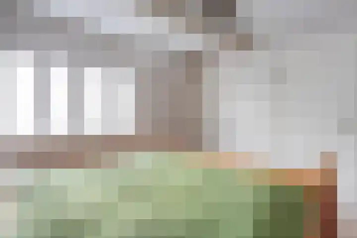 Lage weide 4 Dalfsen thumbnail 23