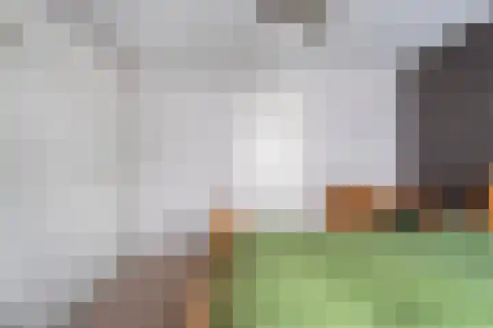 Lage weide 4 Dalfsen thumbnail 24