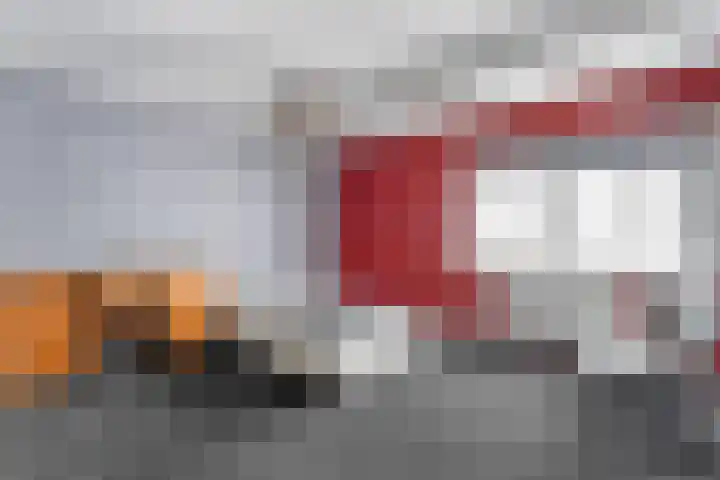 Lage weide 4 Dalfsen thumbnail 25