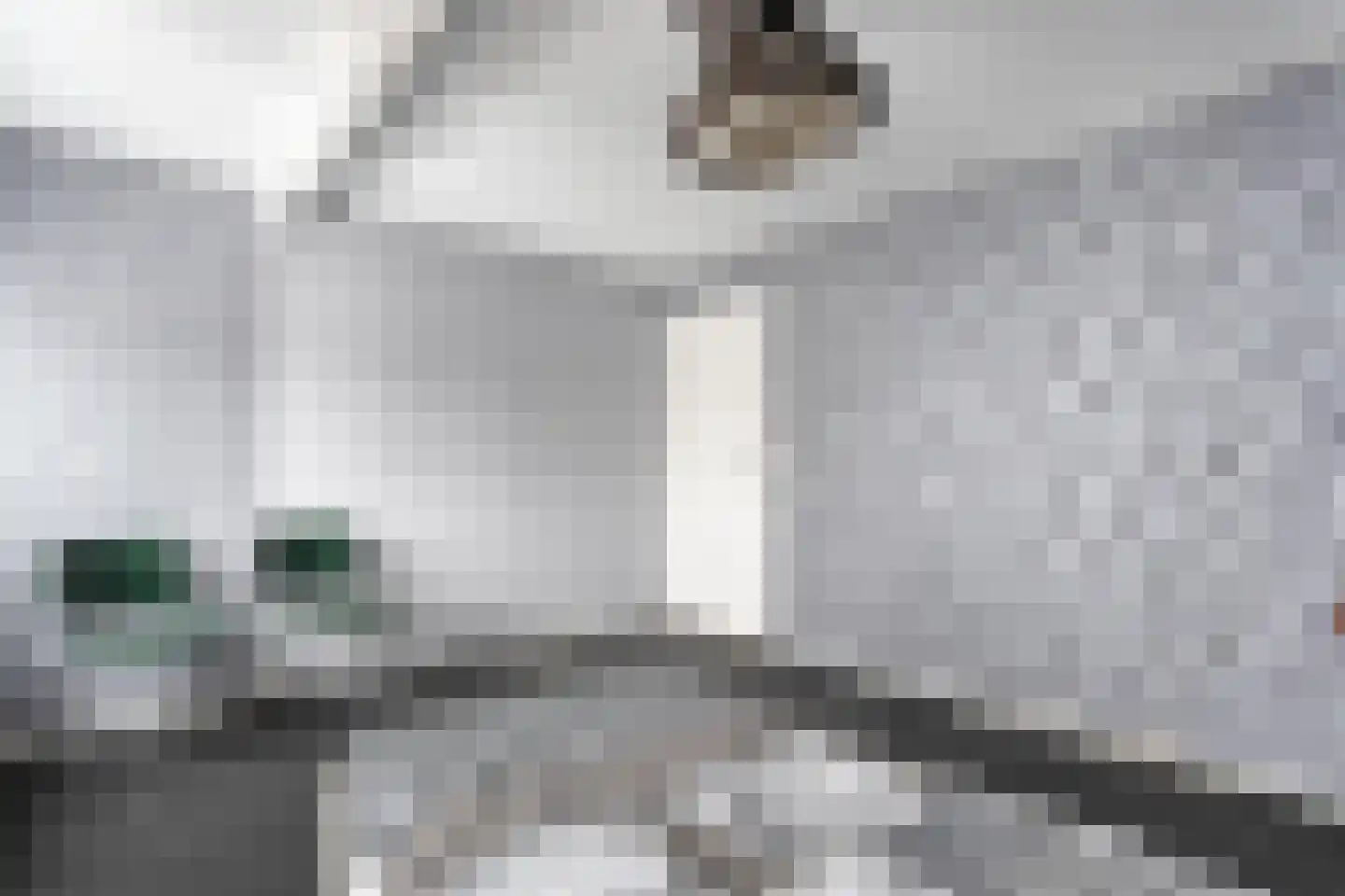 Lage weide 4 Dalfsen thumbnail 26