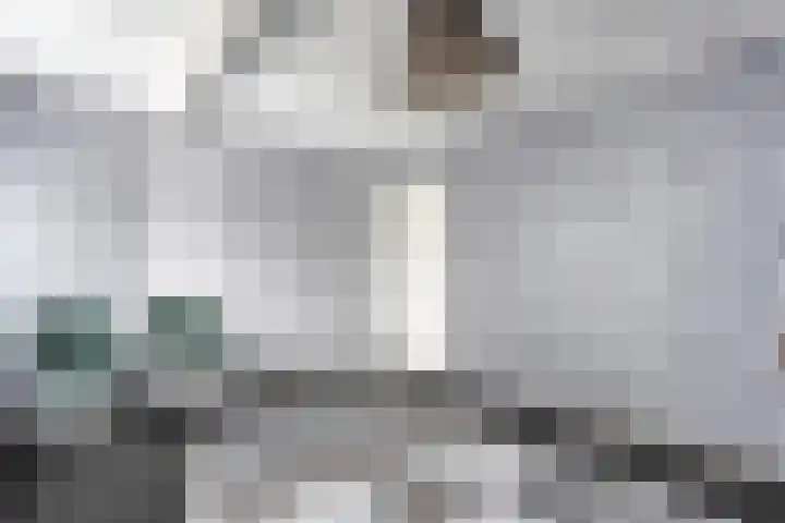 Lage weide 4 Dalfsen thumbnail 26