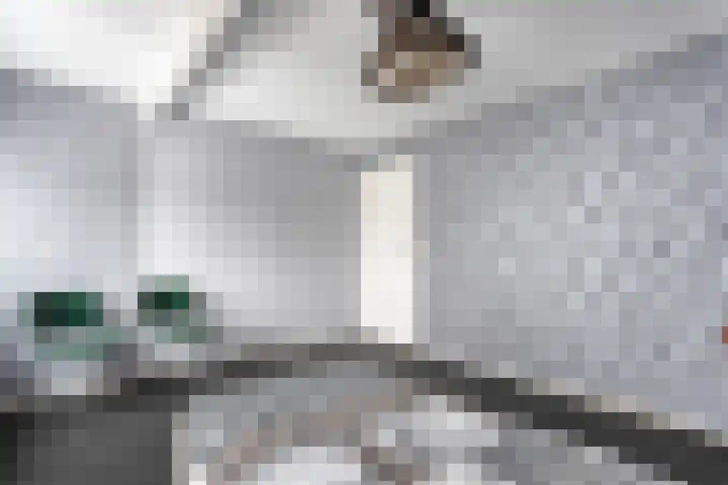 Lage weide 4 Dalfsen thumbnail 26